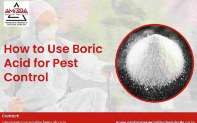 boric acid uses