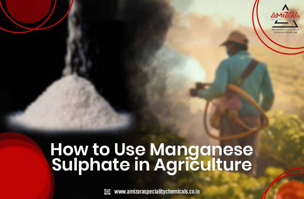 manganese sulphate uses