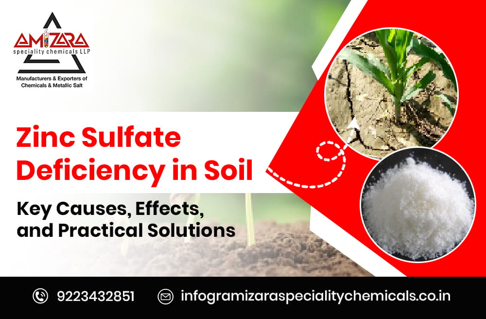Zinc Sulphat deficiency in soil